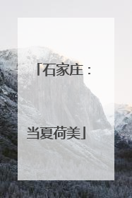 石家庄：当夏荷美