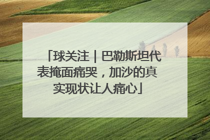 球关注｜巴勒斯坦代表掩面痛哭，加沙的真实现状让人痛心