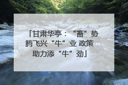 甘肃华亭：“畜”势腾飞兴“牛”业 政策助力添“牛”劲