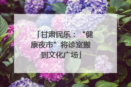 甘肃民乐：“健康夜市”将诊室搬到文化广场
