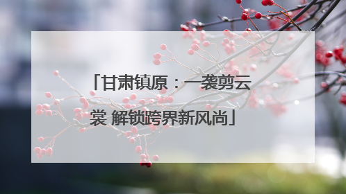 甘肃镇原：一袭剪云裳 解锁跨界新风尚