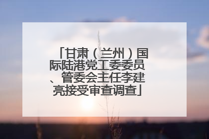 甘肃（兰州）国际陆港党工委委员、管委会主任李建亮接受审查调查