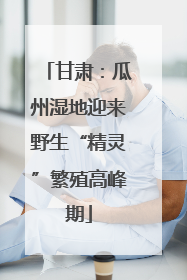 甘肃：瓜州湿地迎来野生“精灵”繁殖高峰期