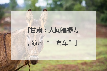 甘肃：人间福禄寿，凉州“三套车”