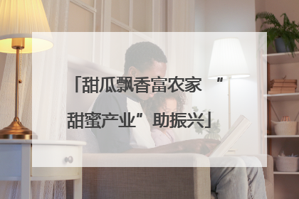 甜瓜飘香富农家 “甜蜜产业”助振兴