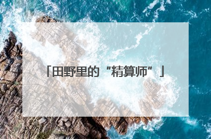 田野里的“精算师”