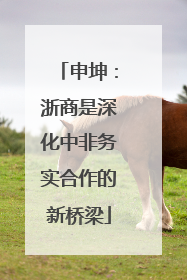 申坤：浙商是深化中非务实合作的新桥梁