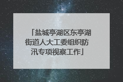 盐城亭湖区东亭湖街道人大工委组织防汛专项视察工作