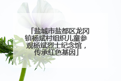 盐城市盐都区龙冈镇杨斌村组织儿童参观杨斌烈士纪念馆，传承红色基因