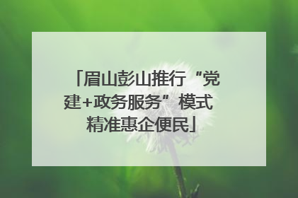 眉山彭山推行“党建+政务服务”模式 精准惠企便民