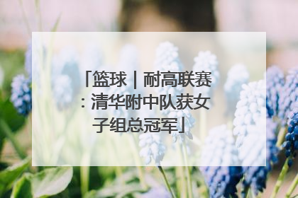 篮球｜耐高联赛：清华附中队获女子组总冠军