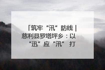 筑牢“汛”防线｜慈利县罗塔坪乡：以“迅”应“汛” 打赢暴雨防御战