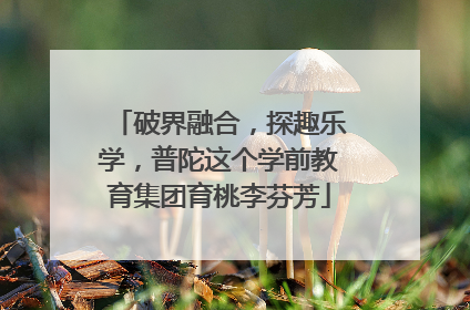 破界融合，探趣乐学，普陀这个学前教育集团育桃李芬芳