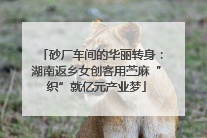 砂厂车间的华丽转身：湖南返乡女创客用苎麻“织”就亿元产业梦