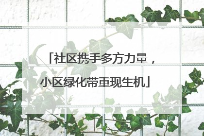 社区携手多方力量，小区绿化带重现生机