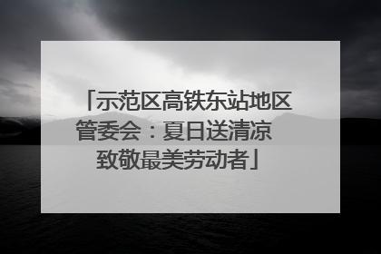 示范区高铁东站地区管委会：夏日送清凉 致敬最美劳动者