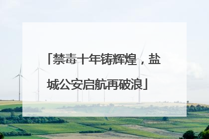 禁毒十年铸辉煌，盐城公安启航再破浪
