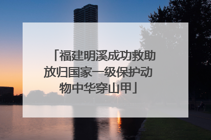 福建明溪成功救助放归国家一级保护动物中华穿山甲