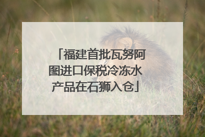 福建首批瓦努阿图进口保税冷冻水产品在石狮入仓