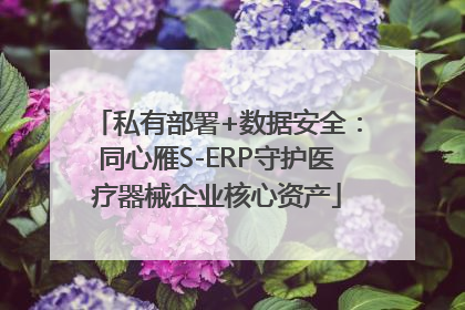 私有部署+数据安全：同心雁S-ERP守护医疗器械企业核心资产