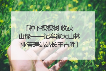 种下棵棵树 收获一山绿——记牟家大山林业管理站站长王占胜