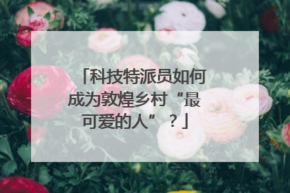 科技特派员如何成为敦煌乡村“最可爱的人”？