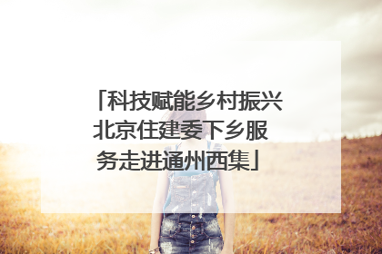 科技赋能乡村振兴 北京住建委下乡服务走进通州西集