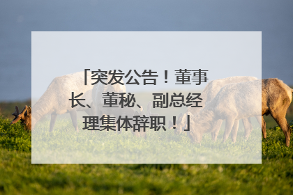 突发公告！董事长、董秘、副总经理集体辞职！