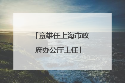 章雄任上海市政府办公厅主任