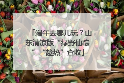 端午去哪儿玩？山东清凉版“绿野仙踪”“趁热”查收