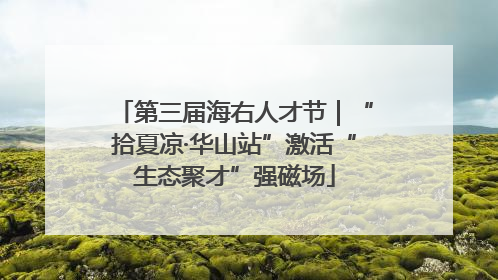 第三届海右人才节｜“拾夏凉·华山站”激活“生态聚才”强磁场