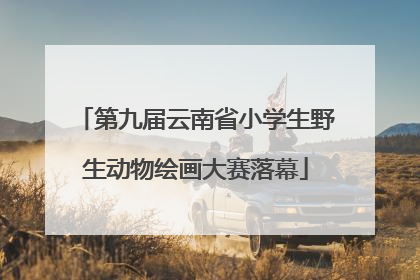 第九届云南省小学生野生动物绘画大赛落幕