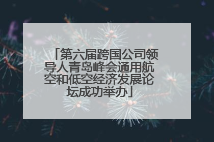 第六届跨国公司领导人青岛峰会通用航空和低空经济发展论坛成功举办
