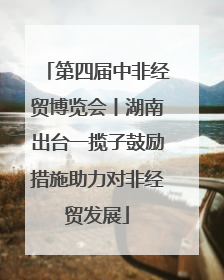 第四届中非经贸博览会丨湖南出台一揽子鼓励措施助力对非经贸发展