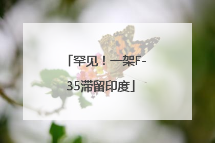 罕见！一架F-35滞留印度