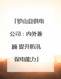 罗山县供电公司：内外兼顾 提升防汛保电能力