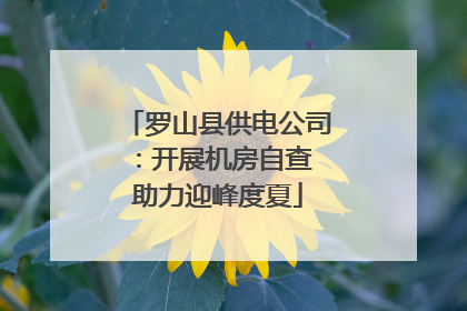 罗山县供电公司：开展机房自查 助力迎峰度夏