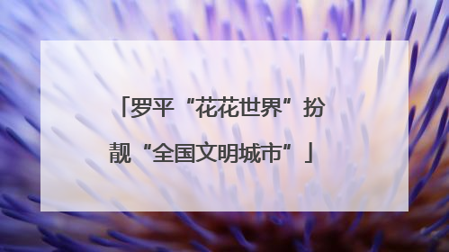 罗平“花花世界”扮靓“全国文明城市”
