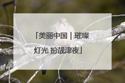 美丽中国｜璀璨灯光 扮靓津夜