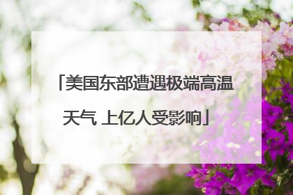 美国东部遭遇极端高温天气 上亿人受影响