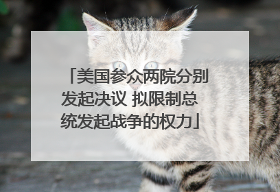 美国参众两院分别发起决议 拟限制总统发起战争的权力