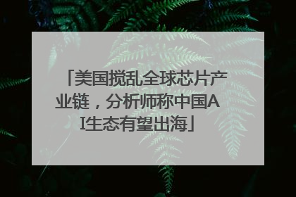 美国搅乱全球芯片产业链，分析师称中国AI生态有望出海