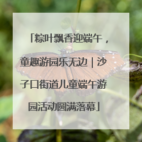 粽叶飘香迎端午，童趣游园乐无边｜沙子口街道儿童端午游园活动圆满落幕
