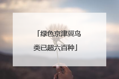 绿色京津冀鸟类已超六百种