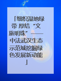 细织湿地绿带 厚结“文旅明珠”——中法武汉生态示范城挖掘绿色发展新动能