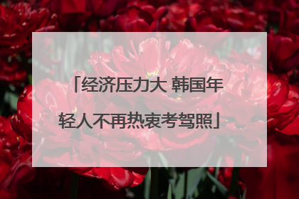 经济压力大 韩国年轻人不再热衷考驾照