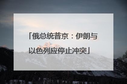 俄总统普京：伊朗与以色列应停止冲突