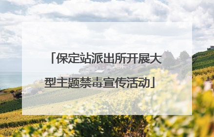 保定站派出所开展大型主题禁毒宣传活动