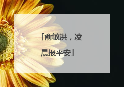 俞敏洪，凌晨报平安