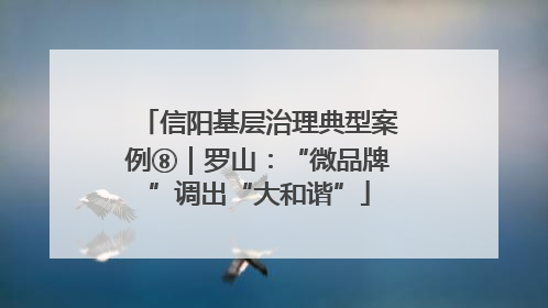 信阳基层治理典型案例⑧｜罗山：“微品牌”调出“大和谐”